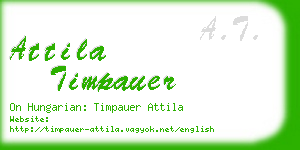 attila timpauer business card